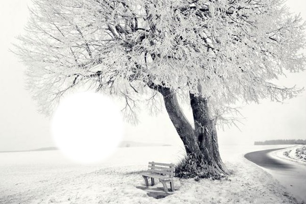 winter Fotomontage