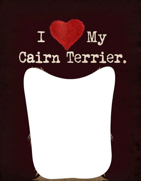 I love my cairn terrier Φωτομοντάζ