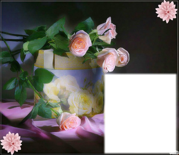 Roses Fotomontaż