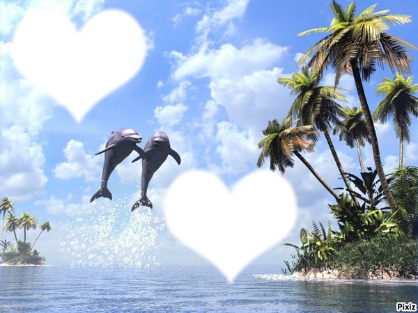 Coeurs - dauphins sautant hors de l'eau Montage photo