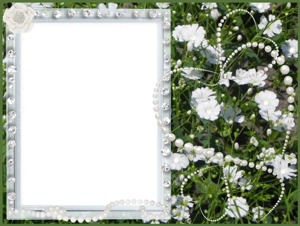 🍃🌹Marco floral verde🌹🍃 Photo frame effect