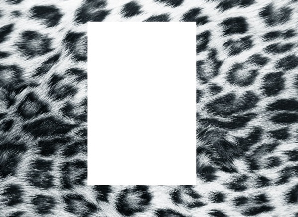 leopard Photo frame effect