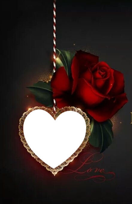 love, corazón y rosa roja. Fotomontáž
