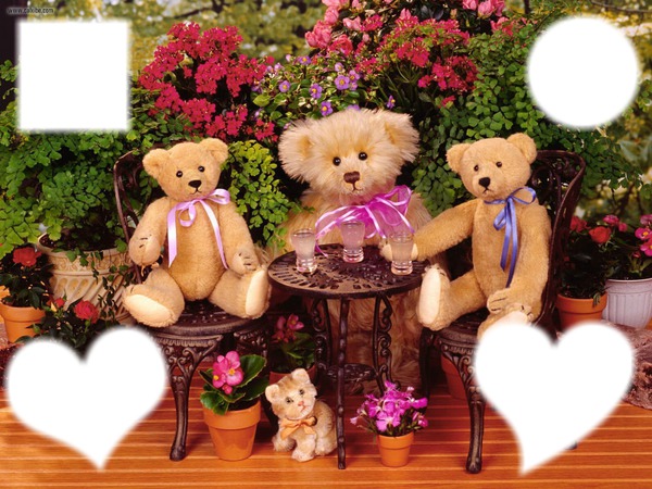 Teddy Bear Fotomontažas