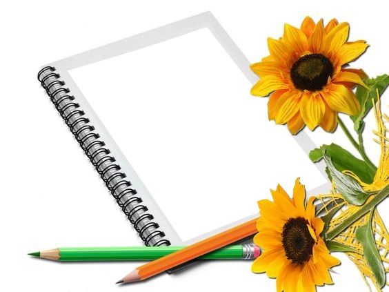 cuaderno, lápices y girasoles. Photo frame effect