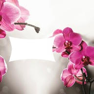 orchidee Fotomontaggio