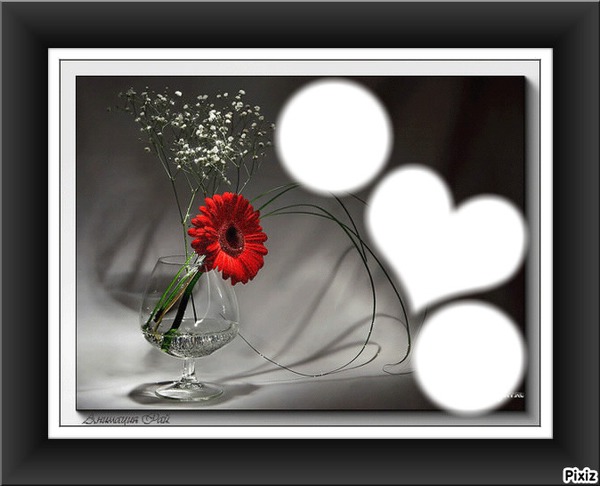 flor roja Photo frame effect