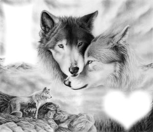 l'amour d'un loup Montage photo