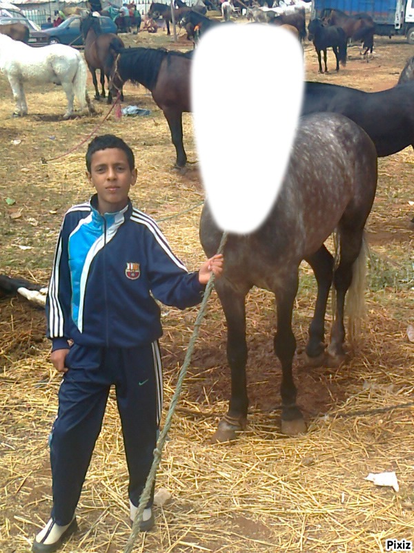 homme cheval Montage photo