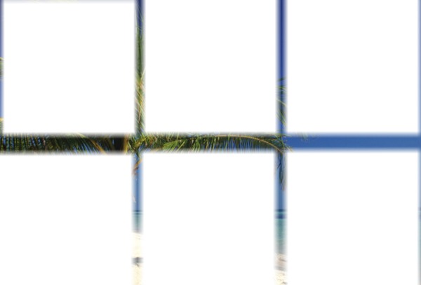 cadre 6 photos - plage palmier Fotomontage