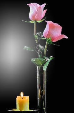 рози  и свещ Фотомонтаж
