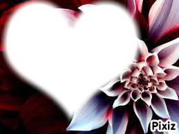 flowers heart Photomontage