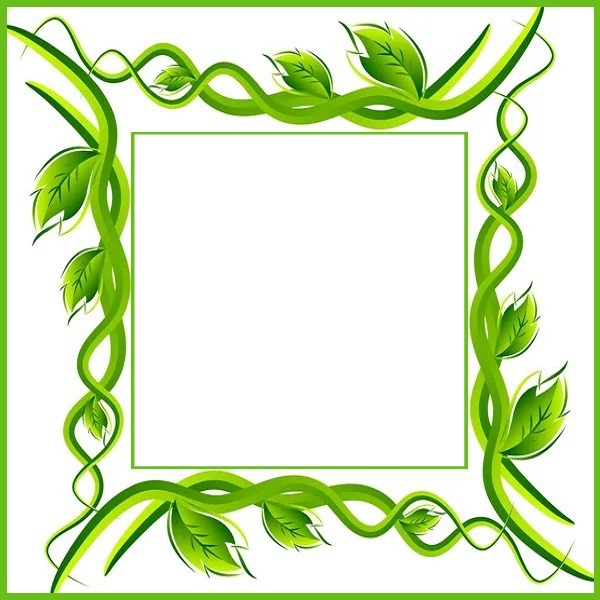 marco y ramas verdes. Photo frame effect