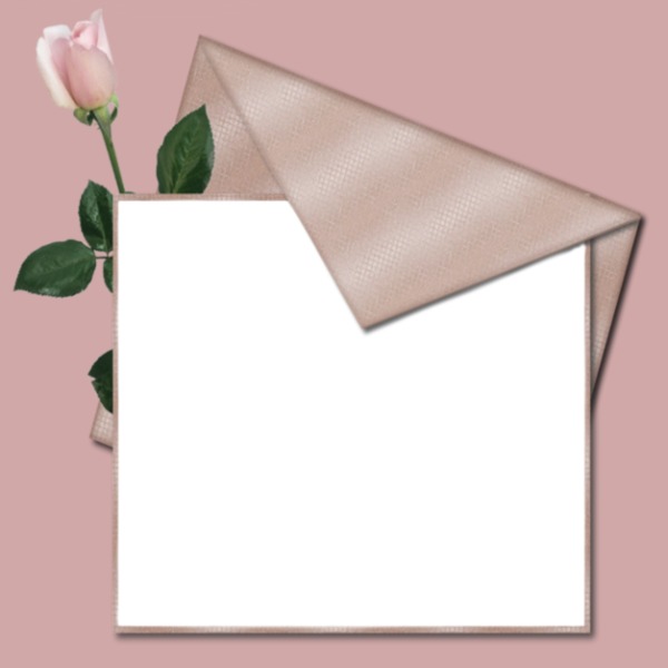 carta y una rosa, fondo palo rosa,una foto. Fotomontaža