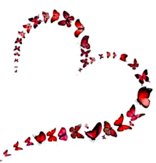 coração borboleta Fotomontaža