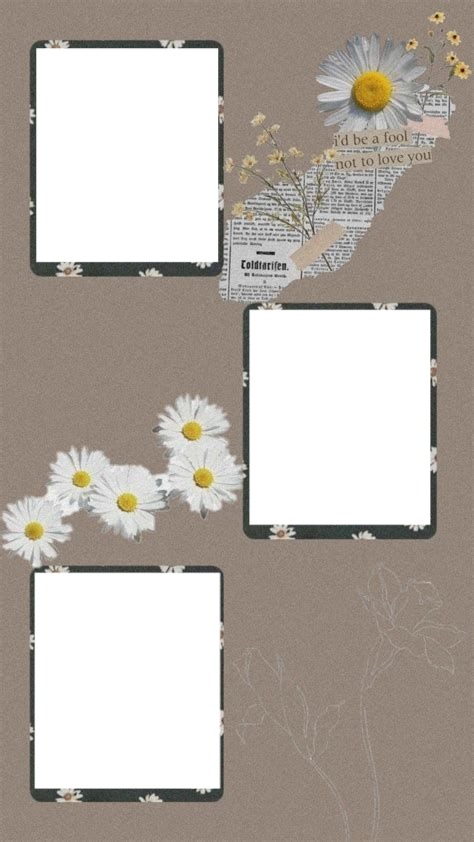 marco con flores margarita, para tres fotos. Valokuvamontaasi