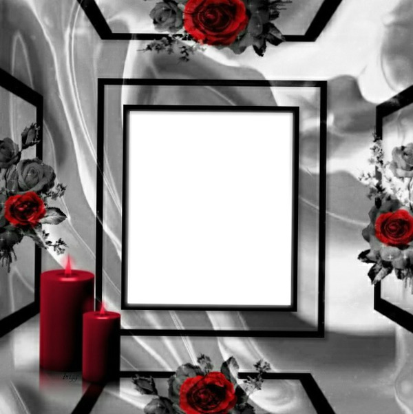 cadre roses rouge Photo frame effect