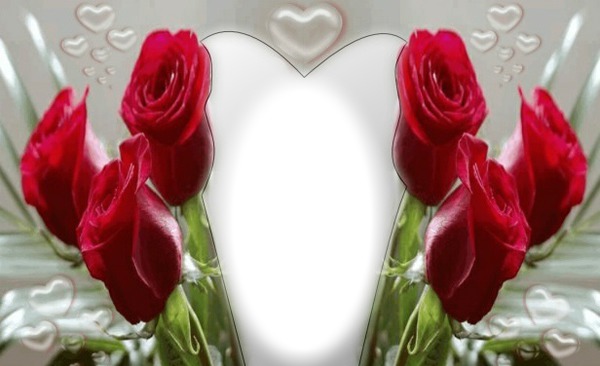 Rose rouge Photomontage