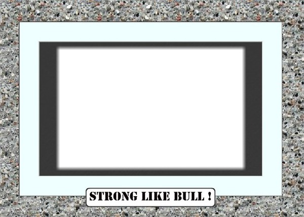 Bill strong Bull grey Photo frame effect