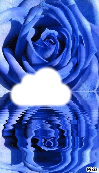 rose bleu 2 Photomontage