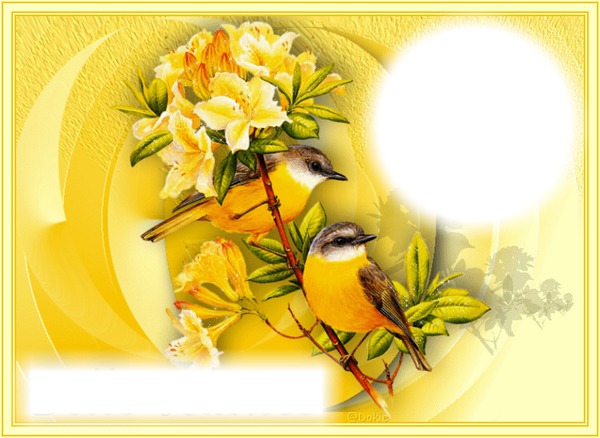 oiseaux jaune Photomontage