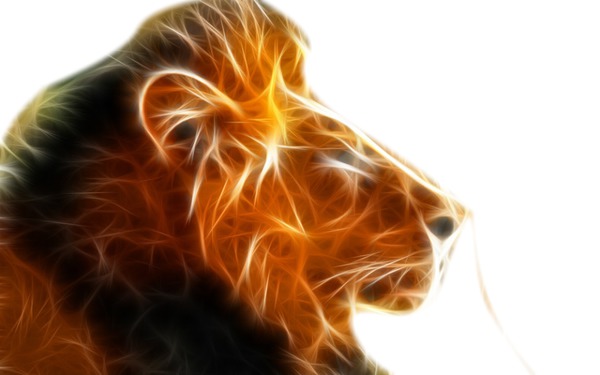 lion en 3D Photo frame effect