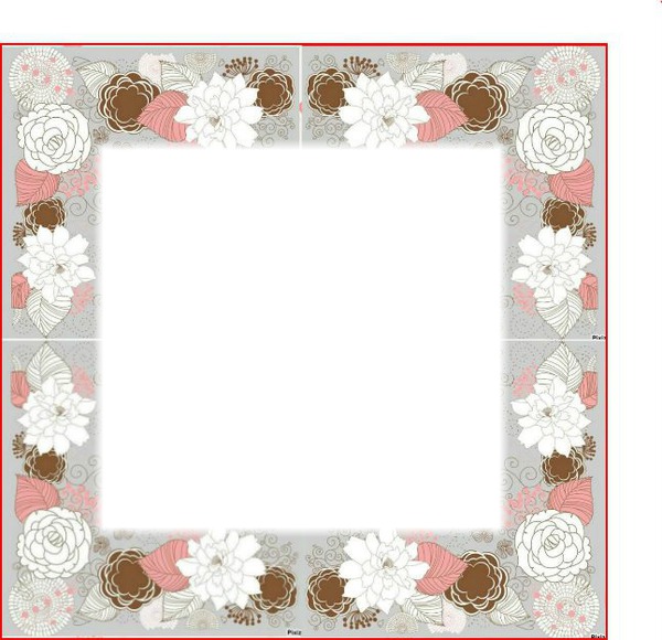 cadre rose marron blanche Photo frame effect