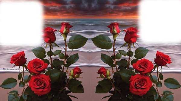 flores de playa Fotomontaggio