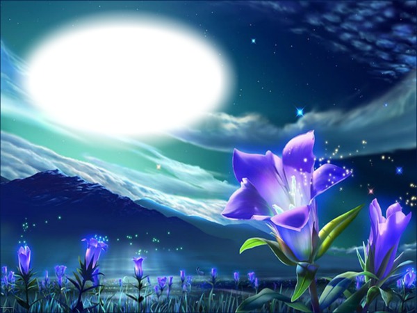 Fleur mauve-clair de lune Montage photo