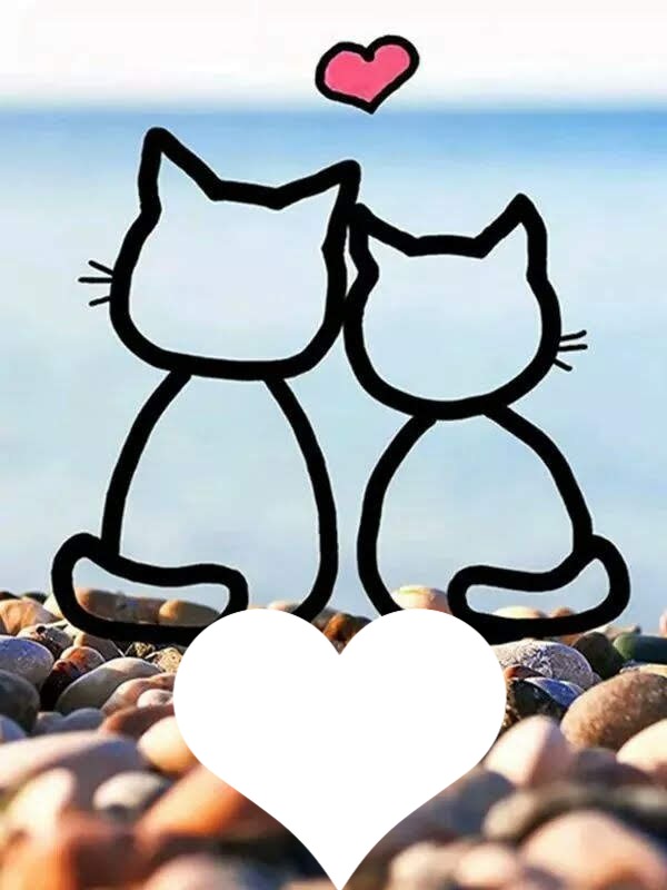 Amour chat isabella Photo frame effect