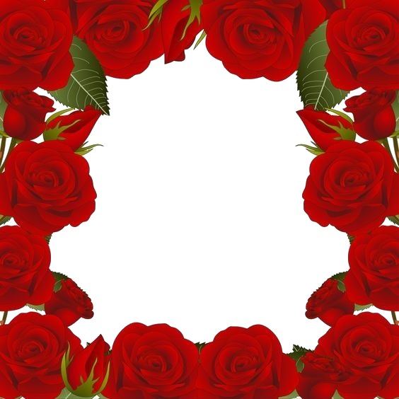 marco de rosas rojas. Fotomontagem