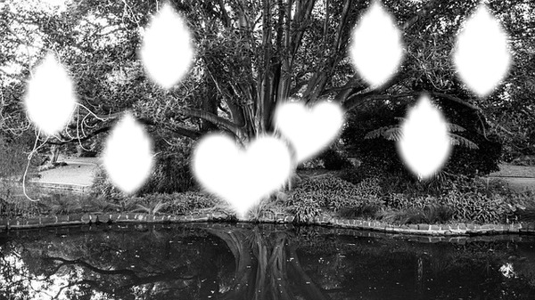 arbre noham Photo frame effect