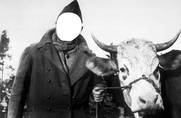 vache et prisonnier Photo frame effect