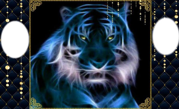 blue tiger bb Photo frame effect