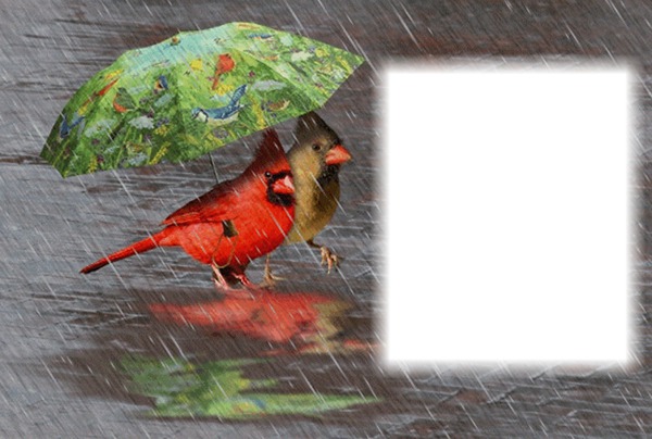 Journée de pluie Fotomontaggio