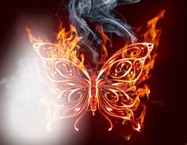 borboleta de fogo Fotomontagem