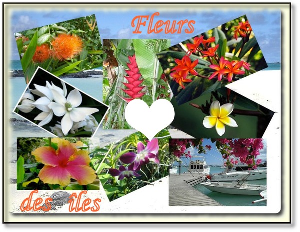 fleurs des iles Fotomontáž