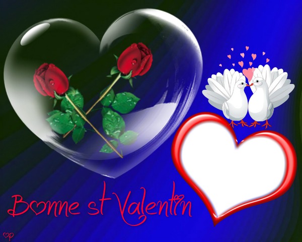 St valentin Montage photo