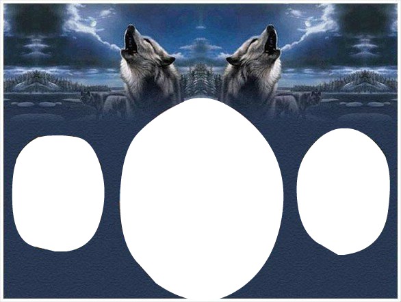 Loup clair de lune Photomontage
