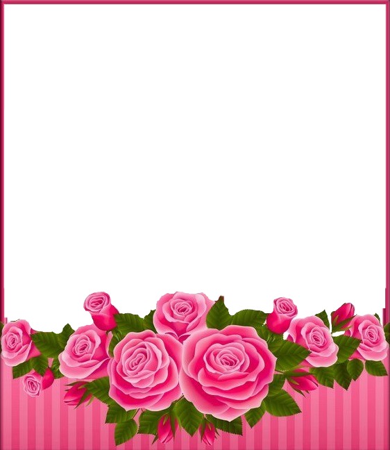 marco y rosas rosadas1 Montaje fotografico