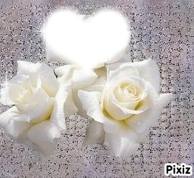 Les roses blanches Montage photo