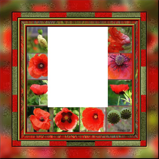 coquelicots laly2 Fotomontáž