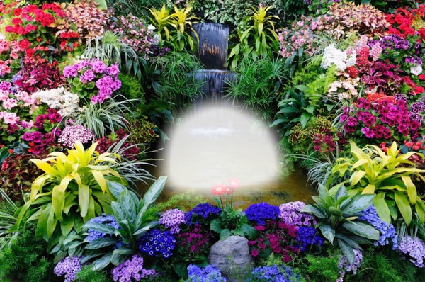 Flower Garden Photo frame effect