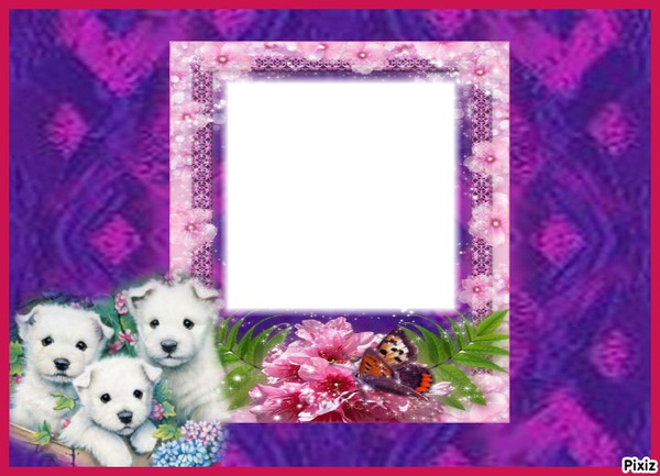 3 chiens Photo frame effect