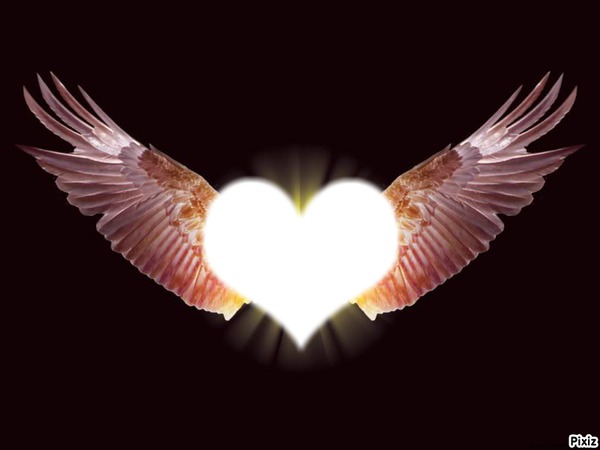 *L'amour donne des ailes* Photo frame effect