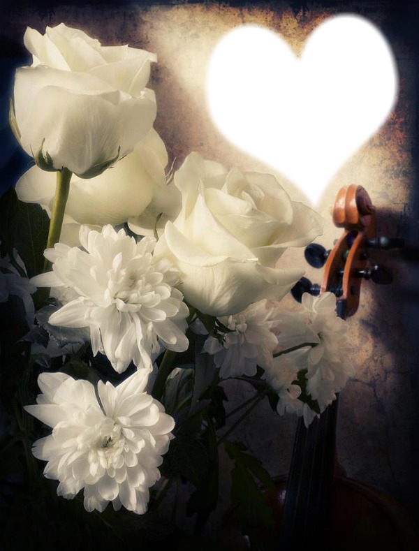 coeur et rose blanche Montaje fotografico