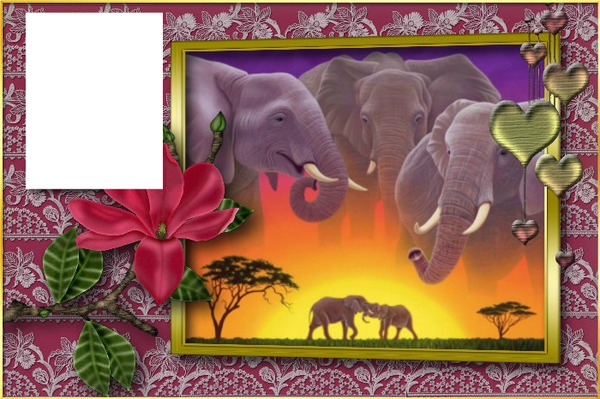 elephant Photo frame effect