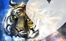 le tigre Fotomontáž