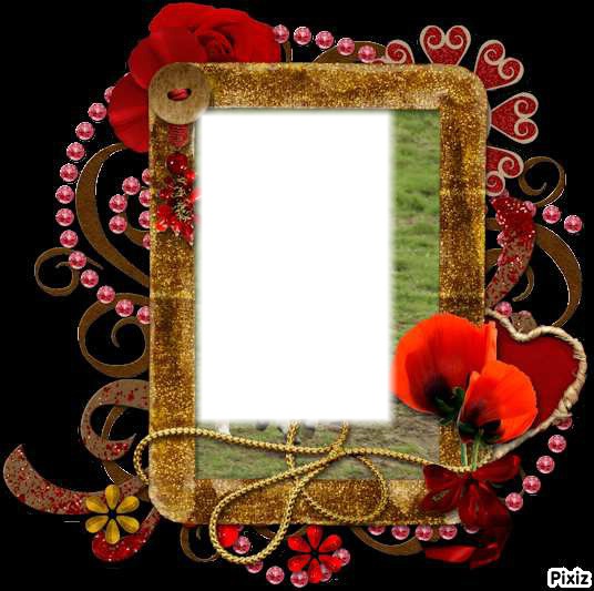 cadre en fleur Photo frame effect