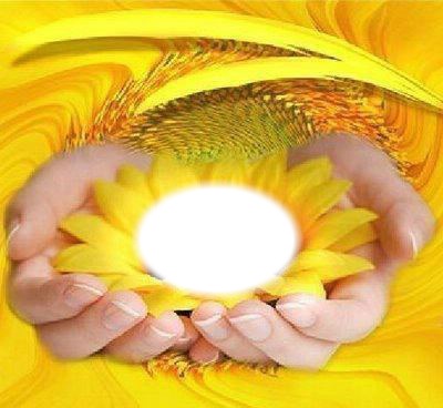 Yellow Flower Photo frame effect